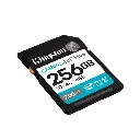 KINGSTON-SD-CARD-SDG4256GB22.webp