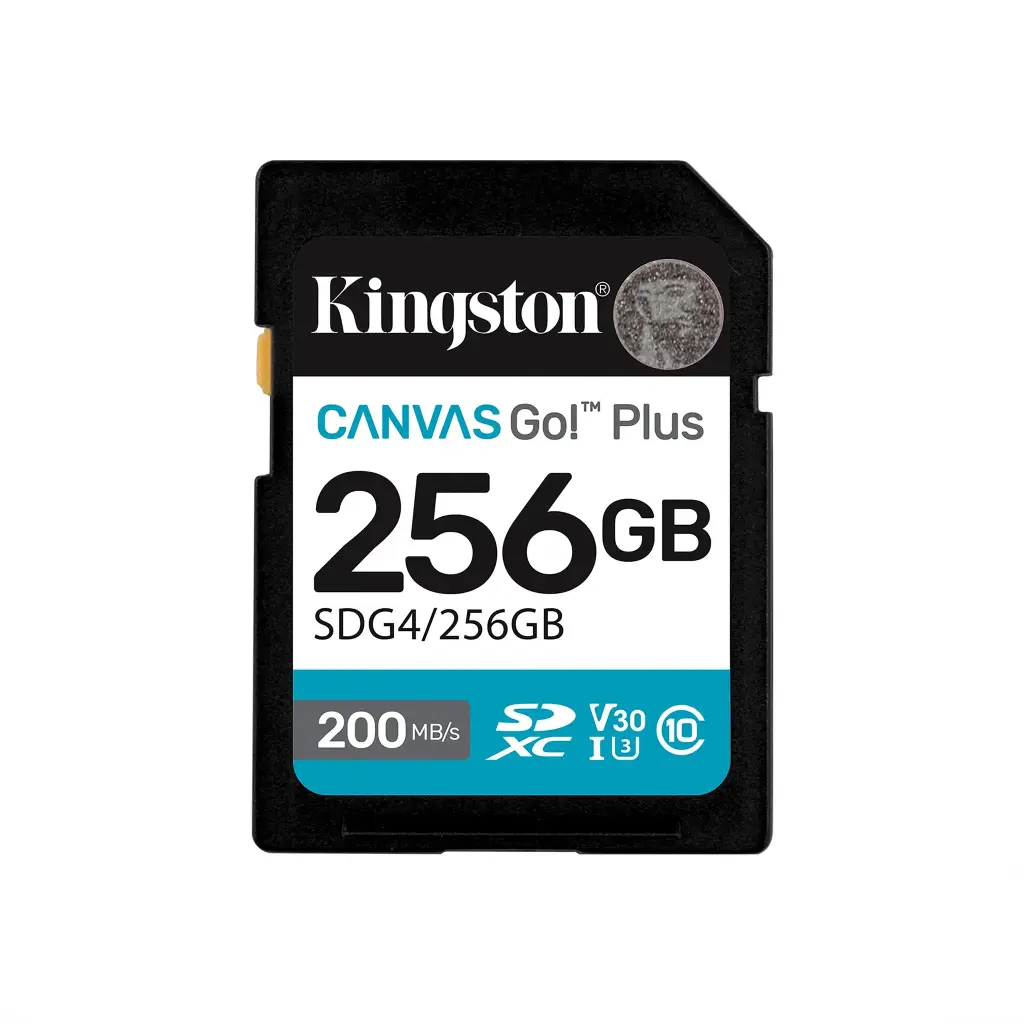 KINGSTON SD CARD SDG4/256GB