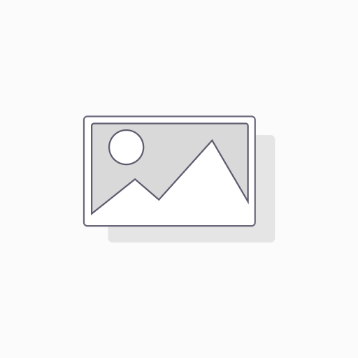 KINGSTON PEN DRIVE DTXS/256GB